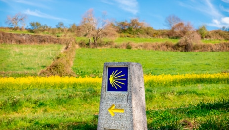 Blog Tee Travel - Cul es la mejor poca para hacer el Camino de Santiago?