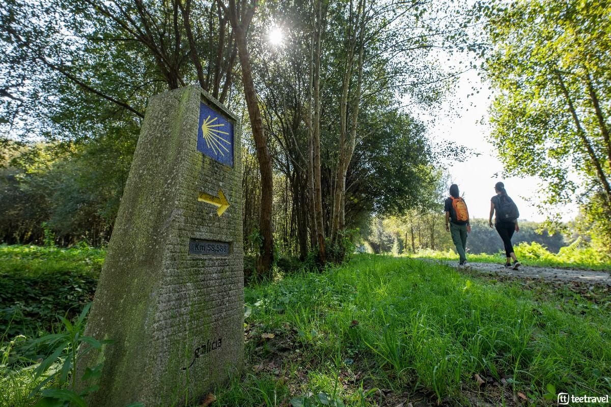 Blog Tee Travel - Qué ver en el Camino Inglés de Ferrol a Santiago