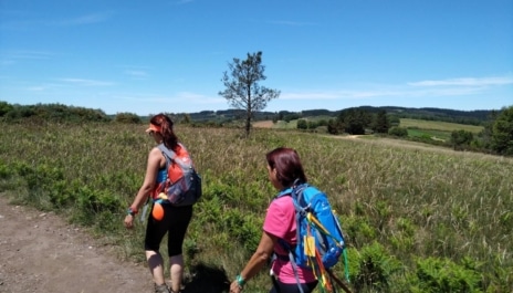 Blog Tee Travel - Errores comunes que debes evitar si vas a realizar el Camino de Santiago