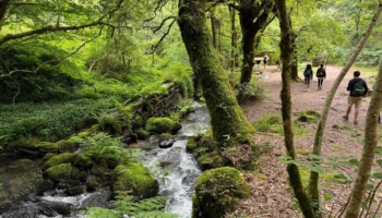 Las mejores rutas para hacer el Camino de Santiago en 5 días