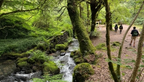 Blog Tee Travel - 2026/04/Las-mejores-rutas-para-hacer-el-Camino-de-Santiago-en-5-dias-variante-espiritual-etapa-armenteira-vilanova-de-arousa-464x265.jpg