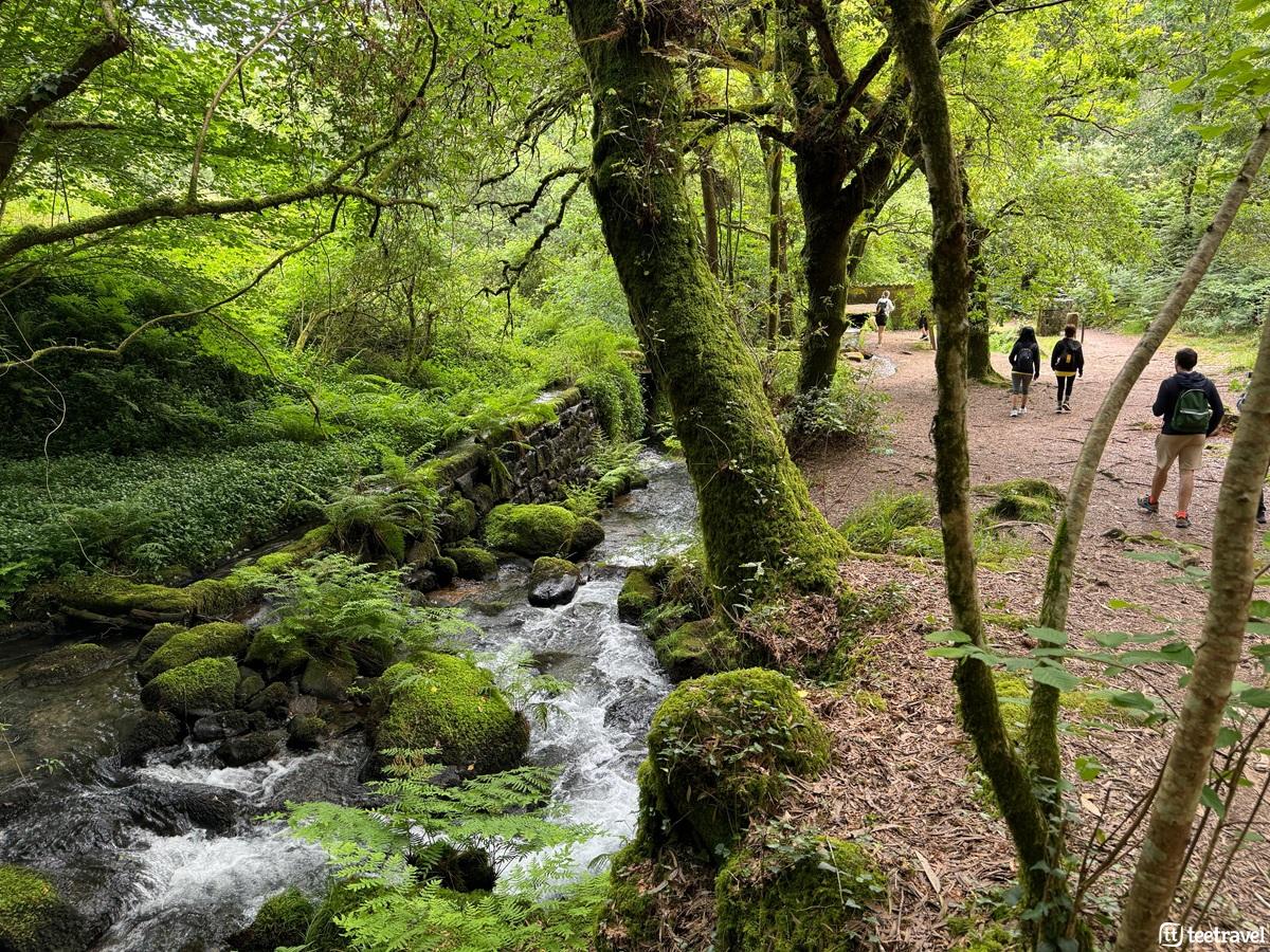Las mejores rutas para hacer el Camino de Santiago en 5 días