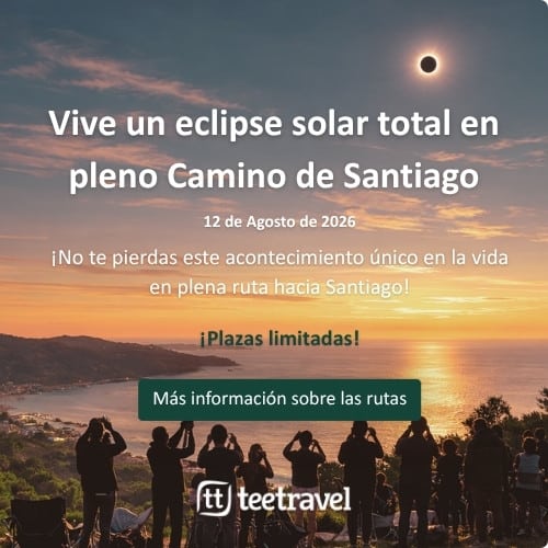 Newsletter Tee Travel