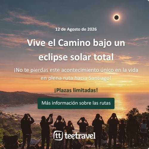 Newsletter Tee Travel