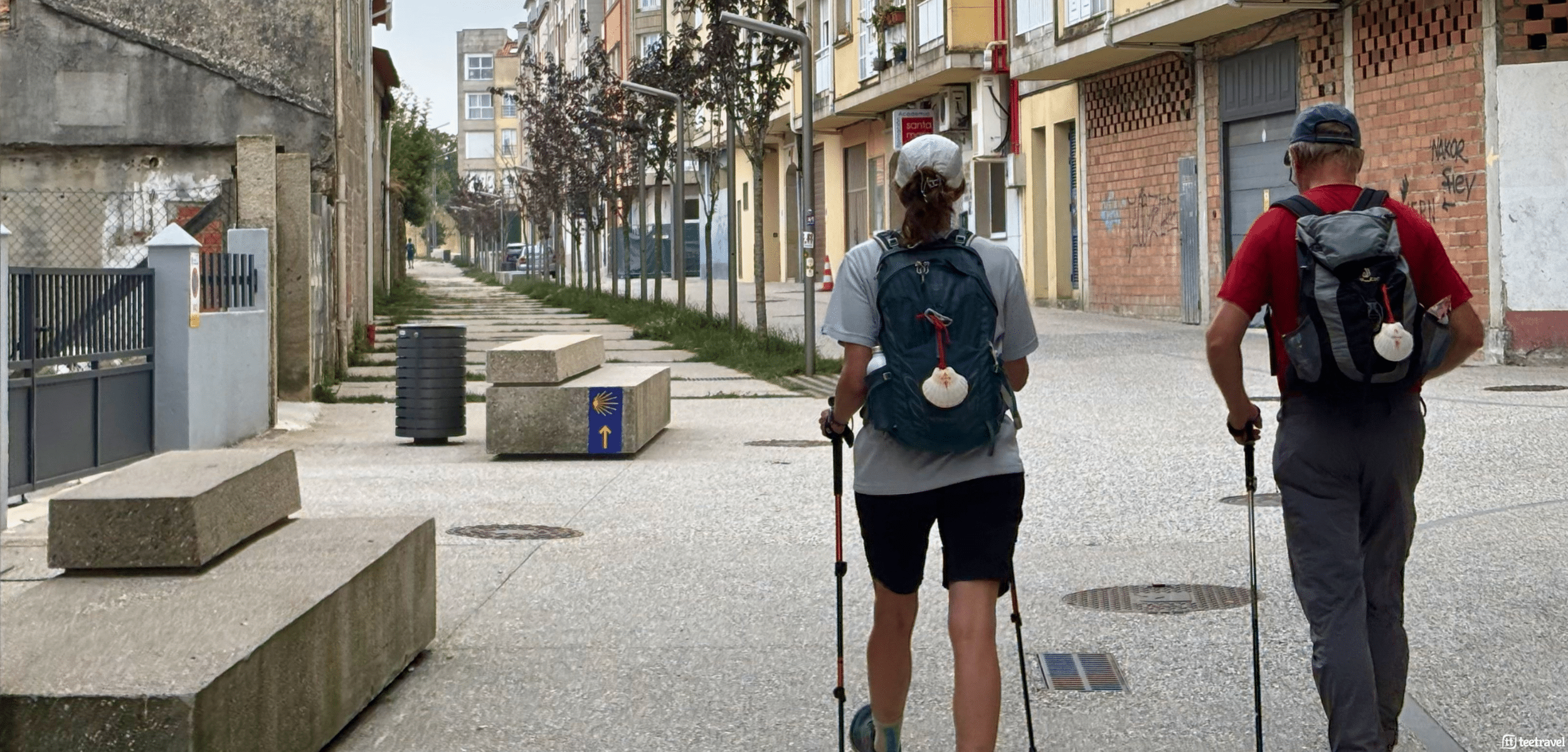 Blog Tee Travel - 2026/09/Bastones-para-el-Camino-de-Santiago-cual-elegir-y-como-usarlos.png