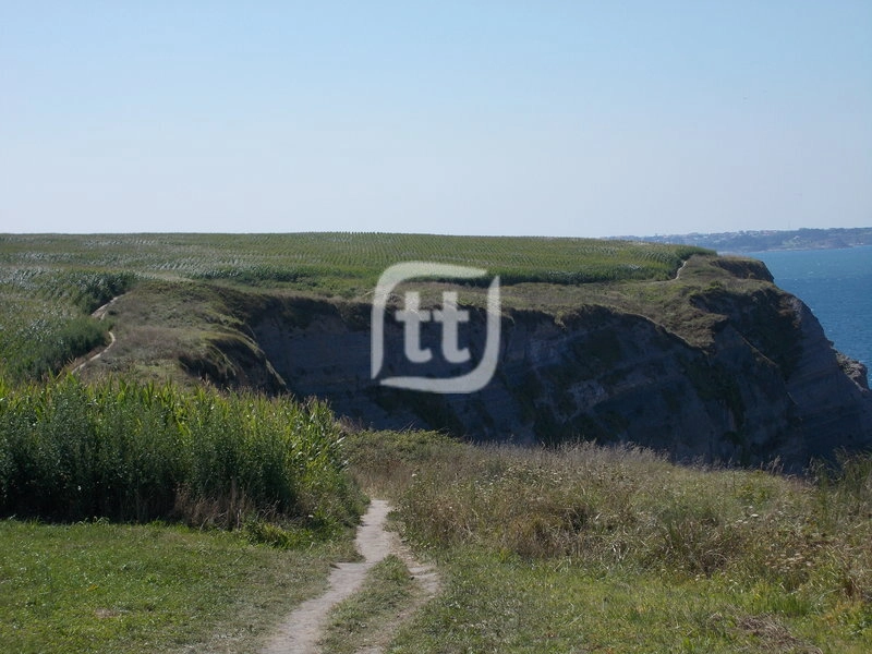 Francisco José Cobos