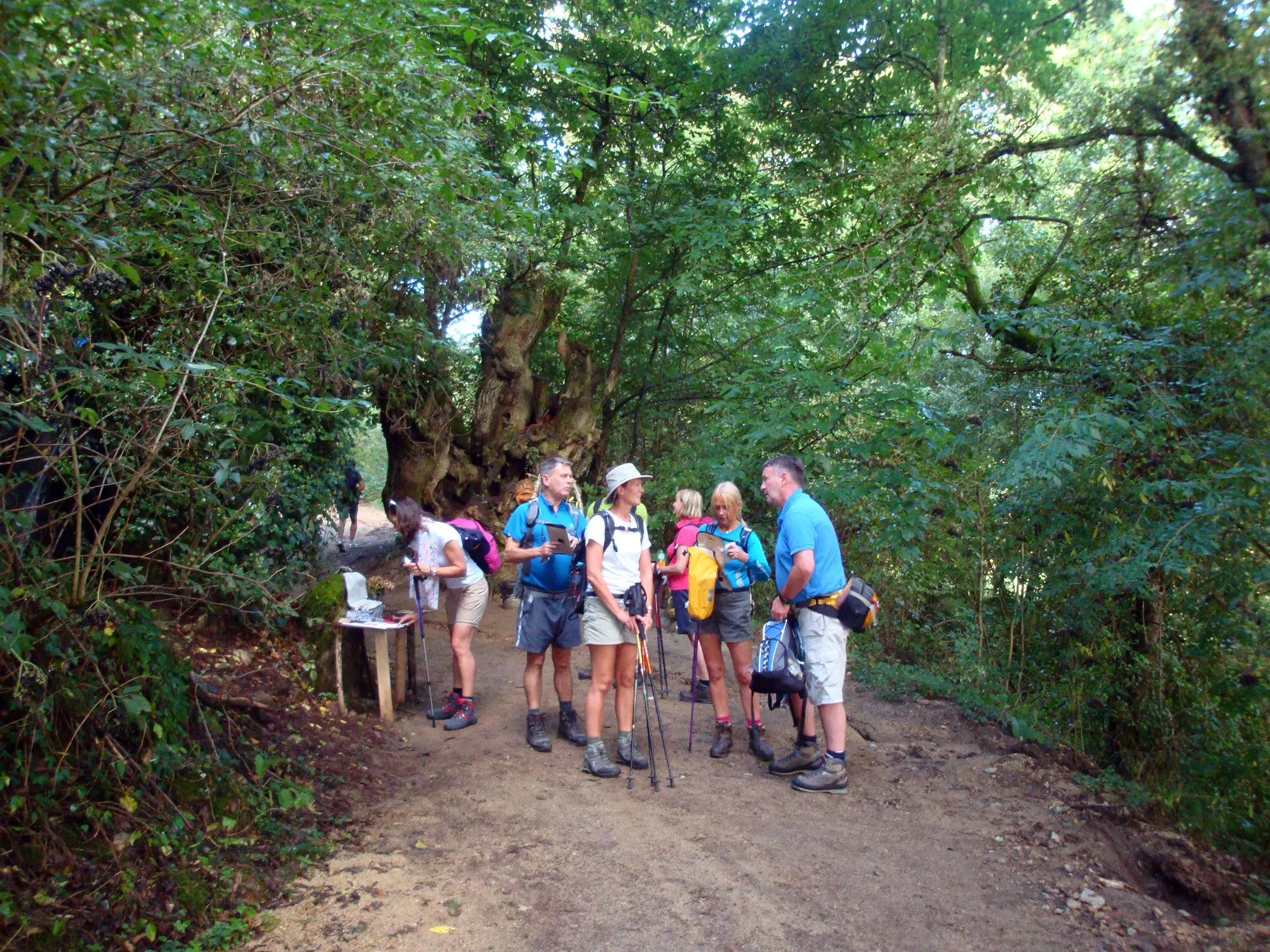 Camino de Santiago en grupo desde Sarria