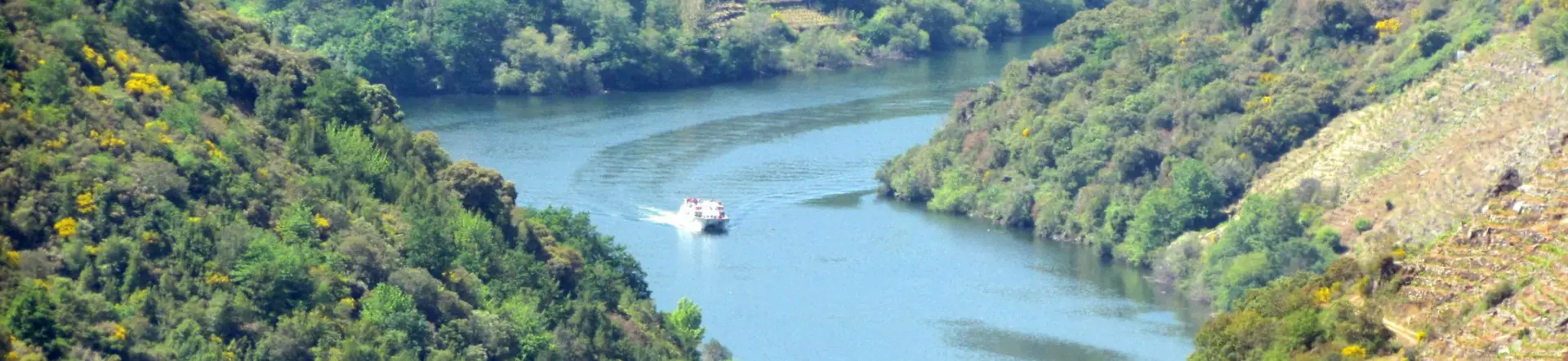 Excursión a Ribeira Sacra