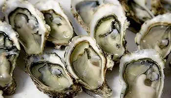 Gastronomía en el Camino Portugués