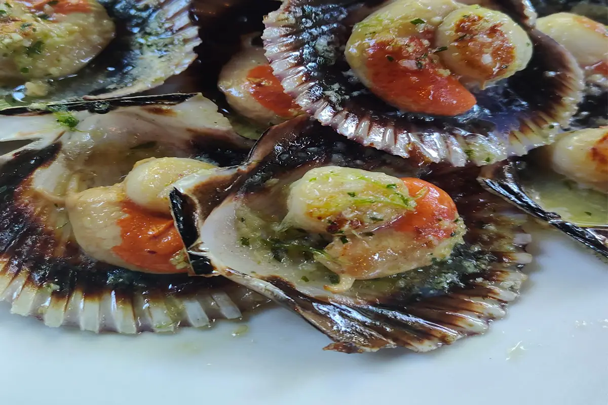 Plato de zamburiñas a la plancha