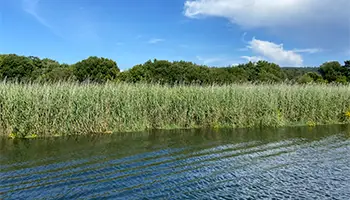 Ruta Marítima hacia Santiago de Compostela