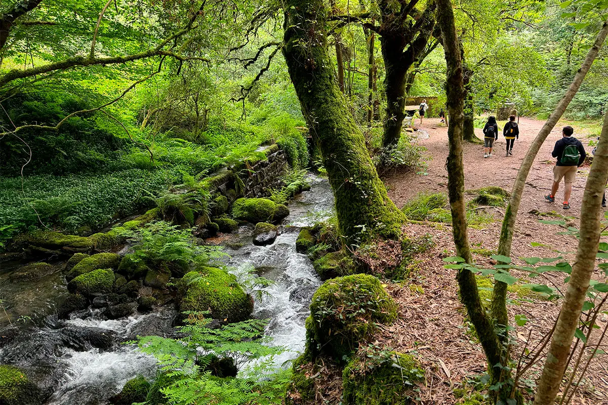 Peregrinos caminando por la Ruta da Pedra e da Agua